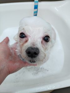 20251209_174105_copy_2700x3600_1