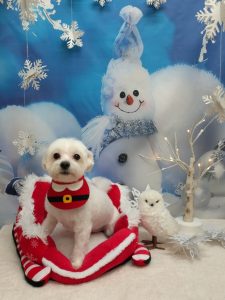 20251209_190555_copy_2151x2868