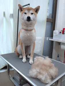 20251211_102900_copy_2700x3600_1