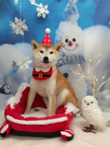 20251211_103337_copy_1906x2542