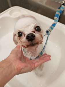 20251211_104235_copy_2454x3272_1