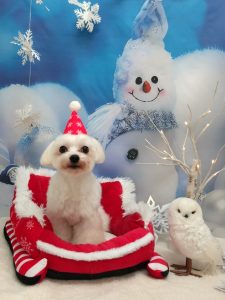 20251211_112209_copy_1890x2520