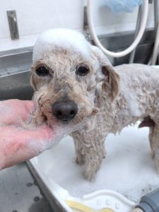 20251211_123839_copy_2592x3456