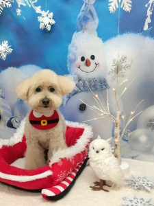 20251211_143825_copy_1980x2640