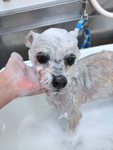 20251211_150732_copy_5400x7200