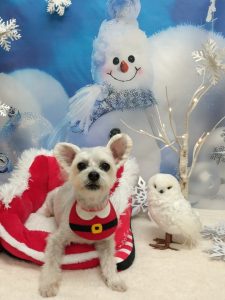 20251211_164651_copy_1952x2602