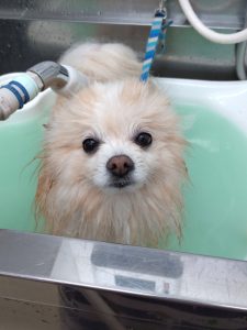 20251211_171558_copy_1944x2592