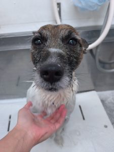 20251211_182804_copy_2700x3600_1