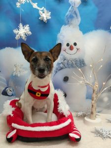 20251211_185442_copy_2041x2721