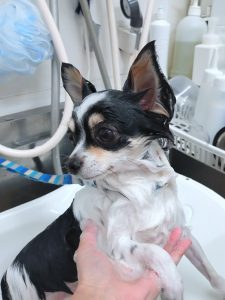 20251212_085251_copy_2314x3086_1