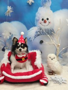 20251212_100557_copy_1862x2484