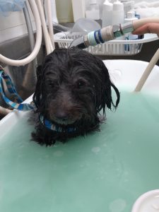 20251212_110441_copy_1962x2616