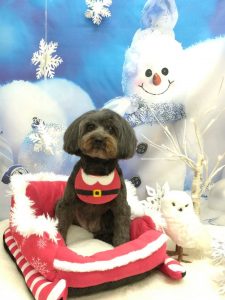 20251212_125153(1)~2_copy_1944x2592