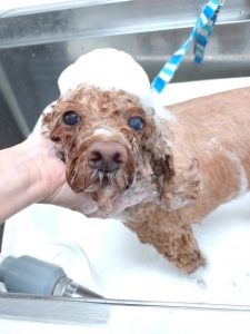 20251212_134359_copy_2885x3847