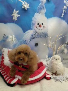 20251212_152851~2_copy_1970x2626