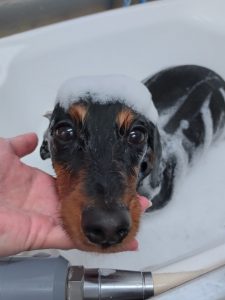 20251212_154655_copy_2860x3813