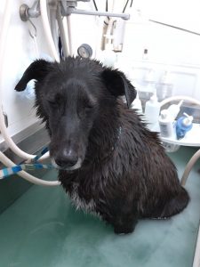 20251212_175112_copy_1944x2592