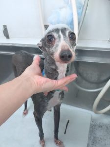 20251213_092418_copy_2700x3600_1