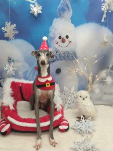 20251213_100749_copy_2046x2728