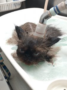 20251213_111539_copy_1836x2450