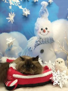 20251213_120631_copy_2102x2804