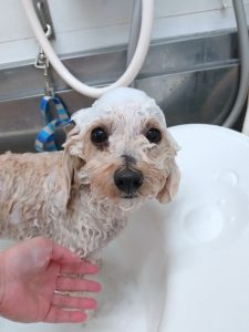 20251213_123642_copy_2388x3184