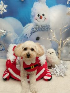 20251213_143644_copy_2160x2880