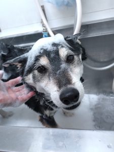 20251213_152739_copy_2267x3023