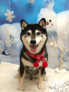 20251213_161351_copy_1944x2592