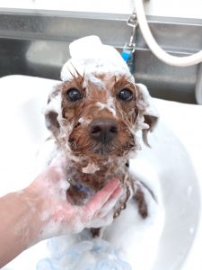 20251213_165529_copy_3002x4003