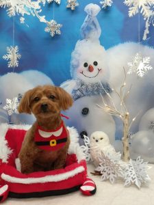 20251213_184810_copy_1984x2646_1