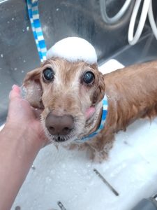 20251215_095424_copy_2700x3600_1