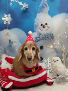 20251215_114026_copy_1926x2570