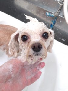 20251215_123930_copy_2984x3978