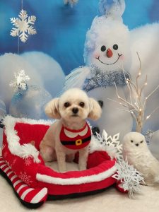 20251215_143713(1)_copy_1944x2592