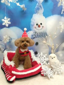 20251215_171346_copy_1992x2655