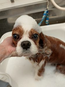 20251215_180116_copy_2423x3231