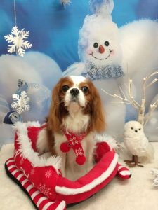 20251215_190050(1)_copy_2106x2808