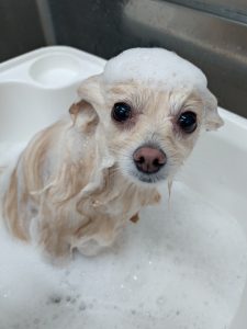 20251216_085313_copy_2423x3231_1