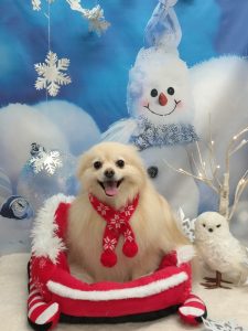 20251216_100859_copy_1916x2554