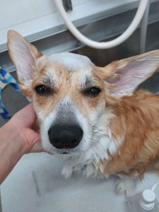 20251216_102121_copy_2700x3600_1