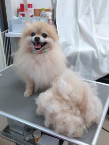 20251216_114400_copy_1944x2592