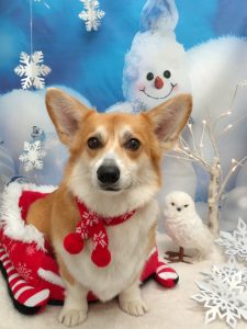 20251216_122504_copy_1898x2530