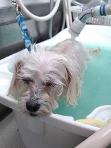 20251216_130203_copy_2084x2780