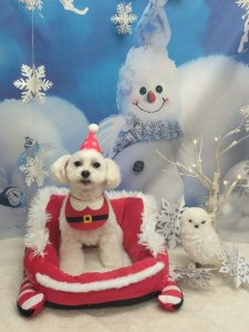 20251216_153935_copy_2068x2756