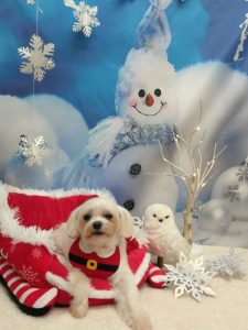 20251216_184427_copy_2090x2786