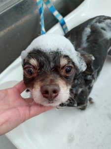 20251218_094201_copy_2336x3114