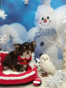 20251218_105316_copy_1884x2512