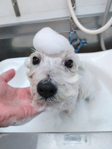 20251218_114555_copy_2700x3600_1