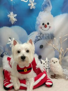 20251218_135103_copy_1960x2614